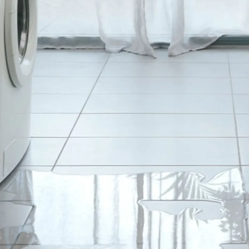 Appliance Leak Cleanup in Grantsville, WV