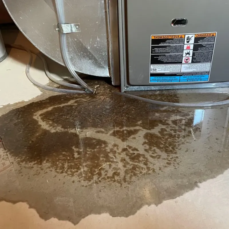 Pipe Burst and Leak Restoration in Grantsville, WV