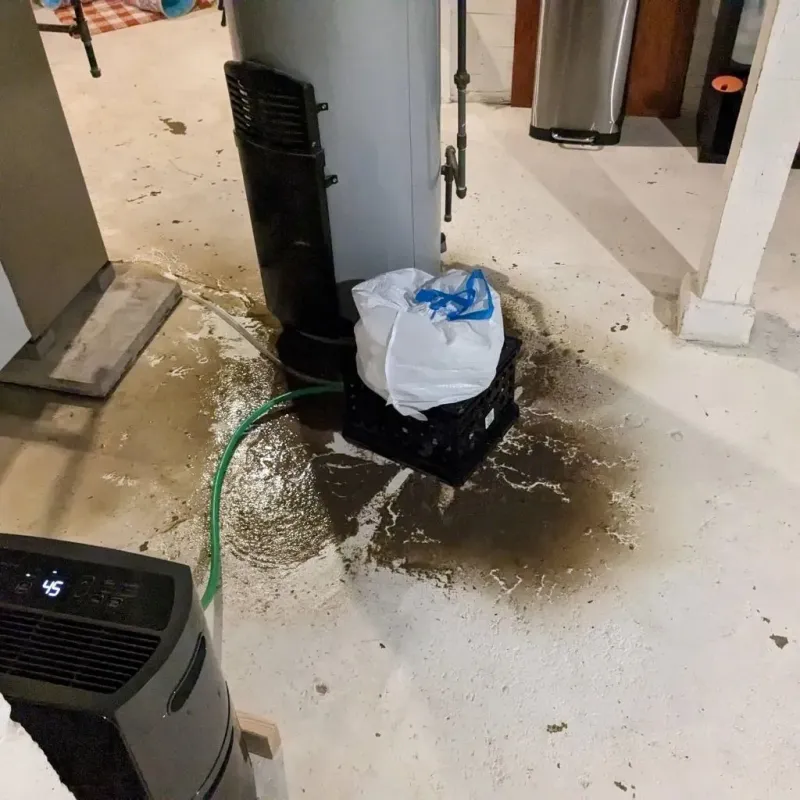 Sewage Backup Cleanup Service in Grantsville, WV